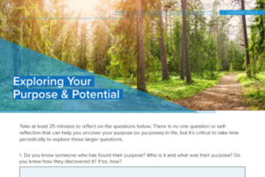 Exploring your purpose flow tool