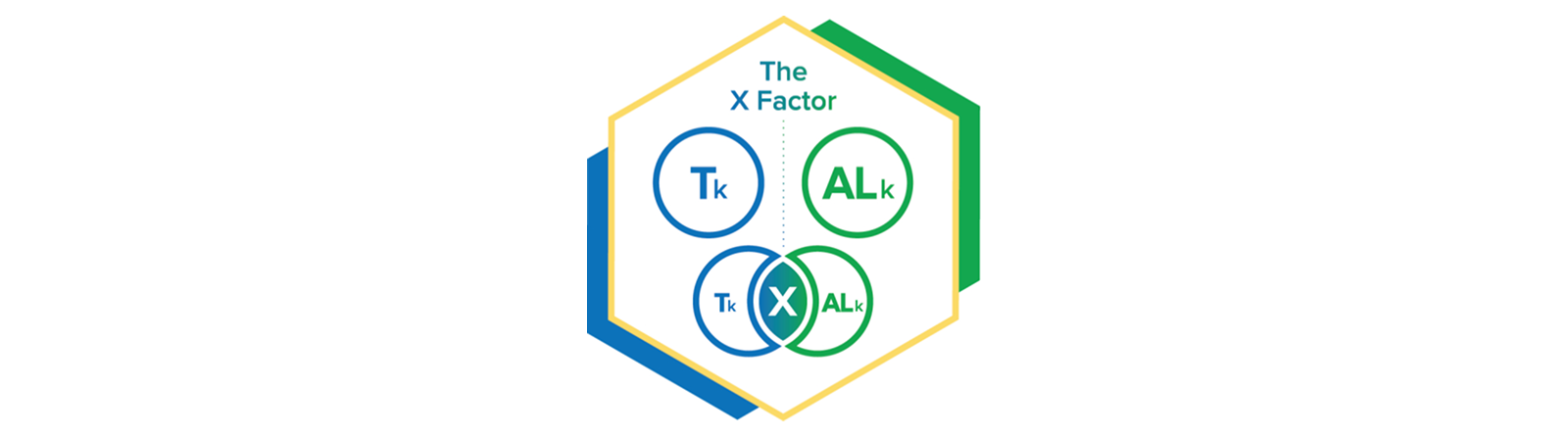 x-factor diagram