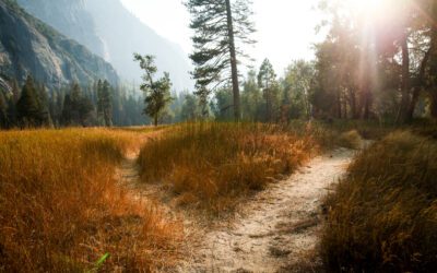 Agency: The Greatest Gift We’ve Been Given