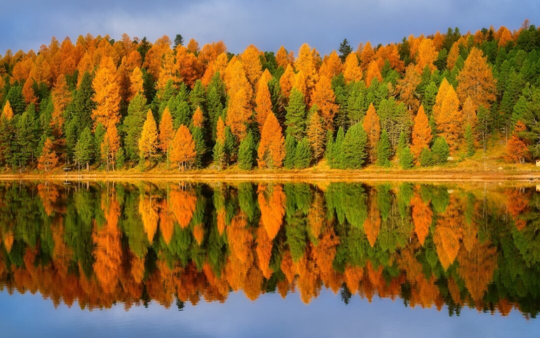 Renewal & Meaning: Aligning the Inner Dimensions