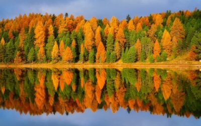 Renewal & Meaning: Aligning the Inner Dimensions